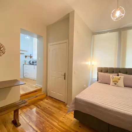 Διαμέρισμα Comfortable Studio Flat In Beyoglu Κωνσταντινούπολη